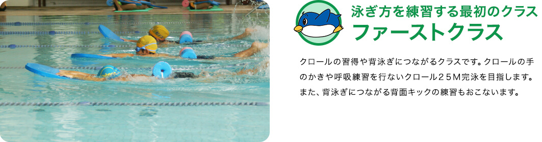 ファーストクラス：クロールの習得や背泳ぎにつながるクラスです。クロールの手のかきや呼吸練習を行ないクロール２５Ｍ完泳を目指します。また、背泳ぎにつながる背面キックの練習もおこないます。