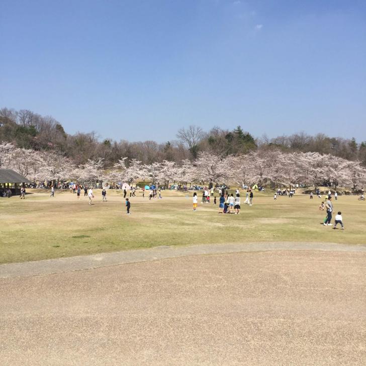 こんにちは ピノスけいはんなです ピノスけいはんな