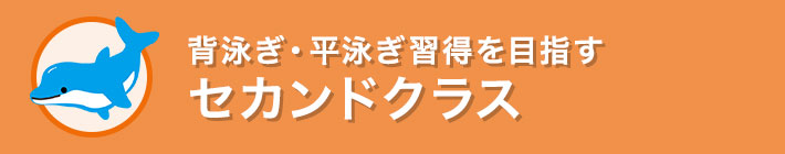 セカンドクラス 背泳ぎ・平尾泳ぎ習得を目指す